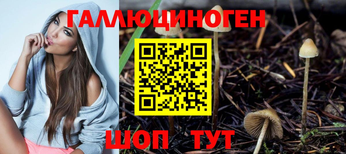 Галлюциногенные грибы GOLDEN TEACHER  даркнет сайт  Еманжелинск  Вход с VPN 