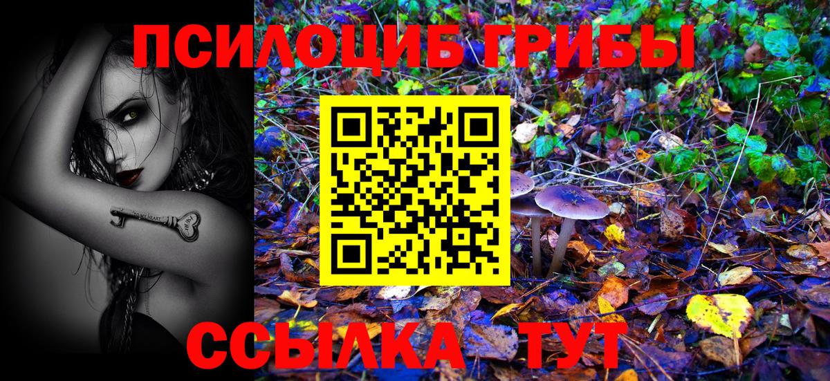 Псилоцибиновые грибы Psilocybe Еманжелинск